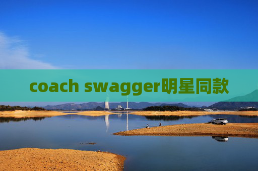 coach swagger明星同款